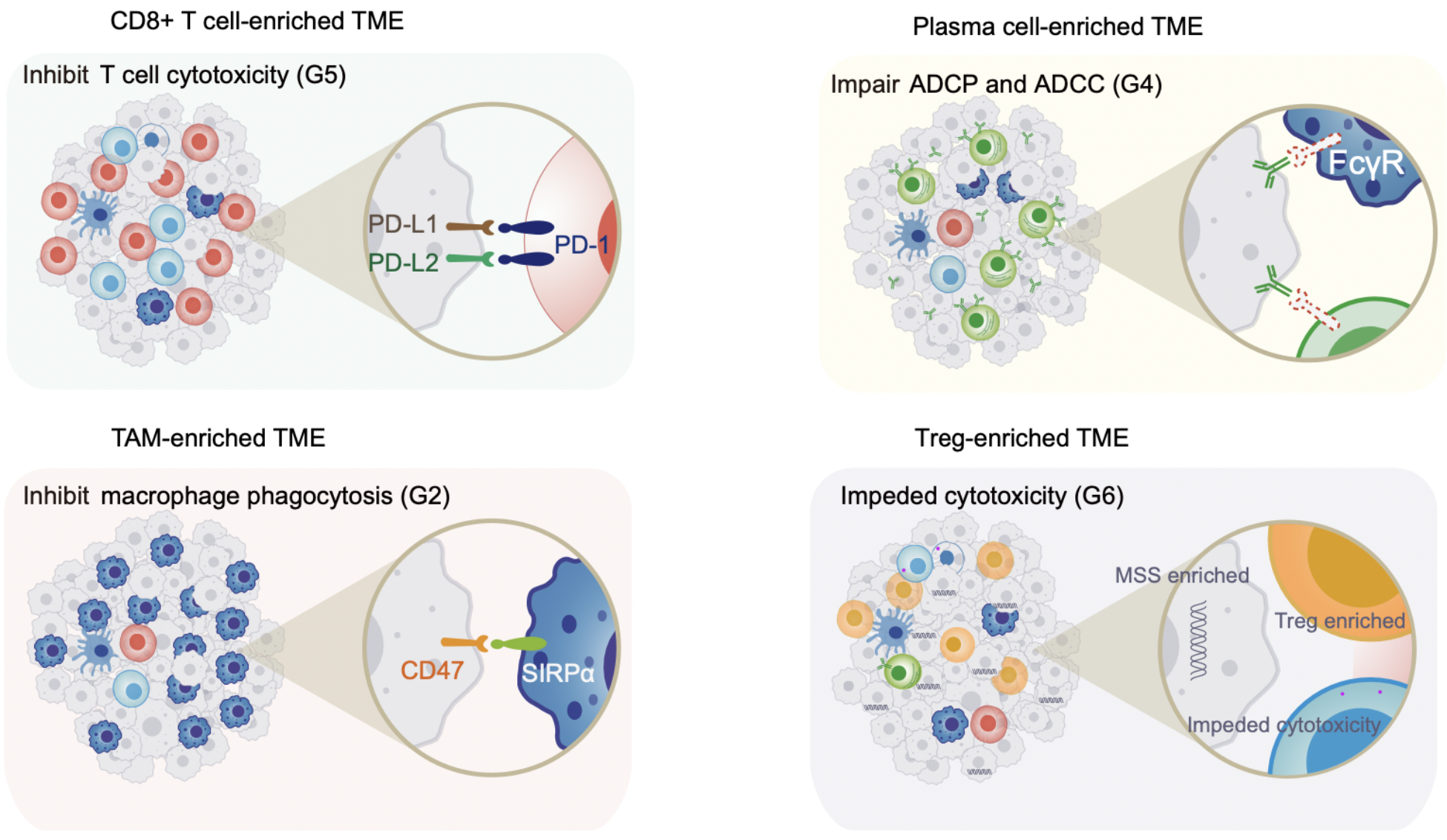 A diagram of different types of cell-related cells

Description automatically generated with medium confidence